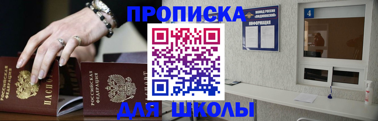пропишу в квартире в Волоколамске